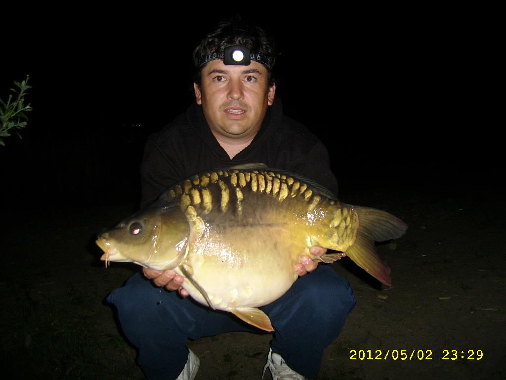 cristi - ssa504021.JPG